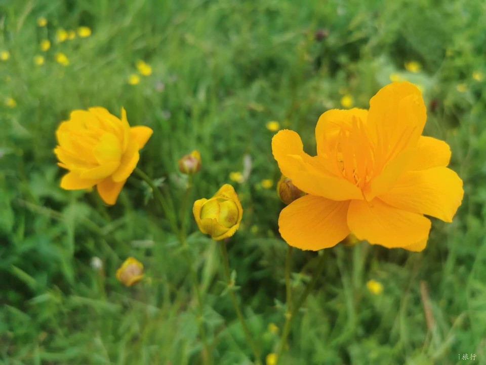 FChPGN-0tPZ6Y4Eyt1aByY-lpGz4JdVLV15C3zelVk6UA93iDDJ9UfwCAECAx6WC