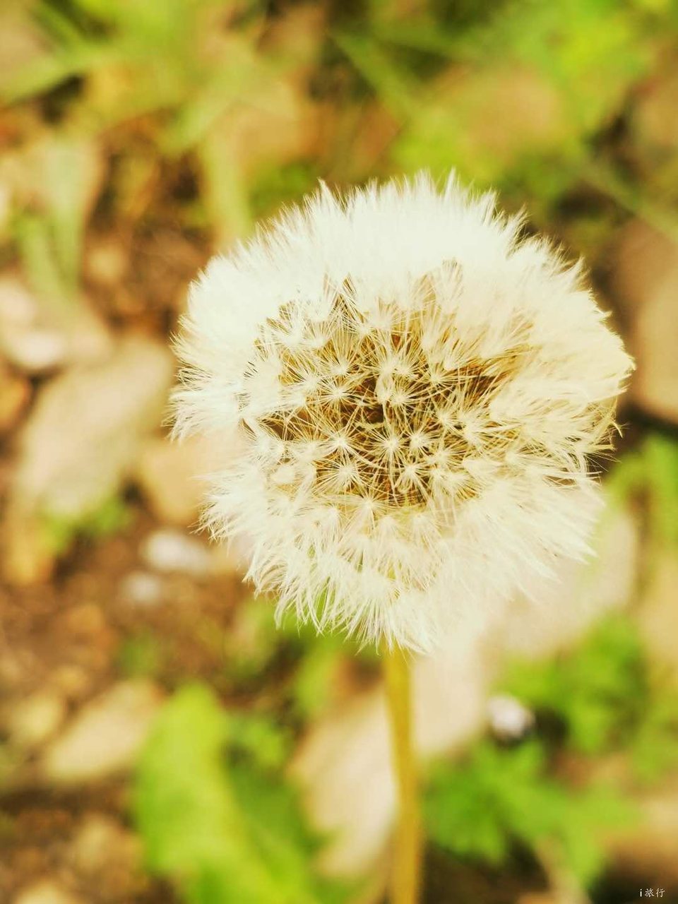 hyWziT0xURro2kLbm4zQQ5ebt2yjCx8nVX_6BjpBE5Ooc23cTD0wtFXxUIAu-bon