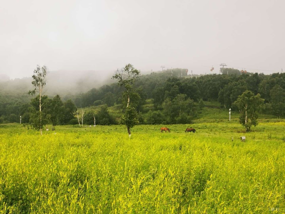 IvK1xezPT60g0phVfwgfQfP4UXc4uvuaOaN_UPMJX_pv6MDAAHEavLgHrW7205GU