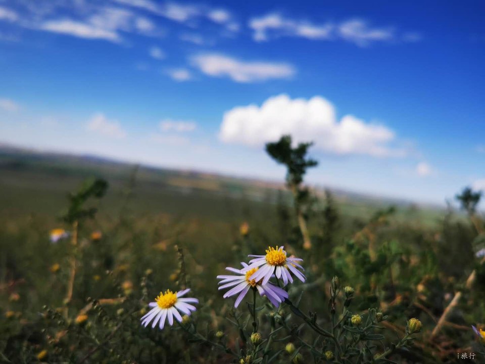 Yg8SQ04hZGF4ZIWlcYfZ_z2KFIJ51i-ggGs0g74iQ5Rk8zy16BN1O5nKuSBCsHYQ