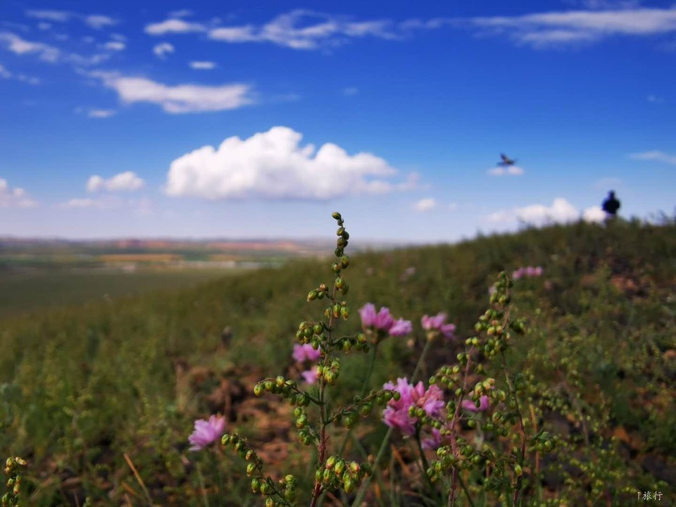 oDFyJ9YQiJei1ZbzV8oIVbkdXmnp1Dwryk0Rb2eSE_8JfwEZXs77Gp171ZI7wUaw