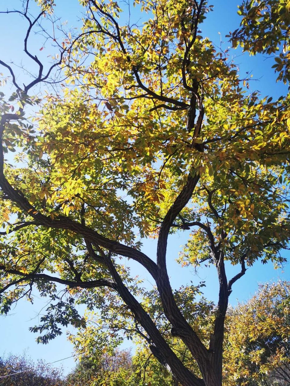 UaZ3huGyCg9xknBAvRKfYsqBUaHx9KARBioYRgJtLgUJZQOT8K7fEaT_4VOm-q7Y