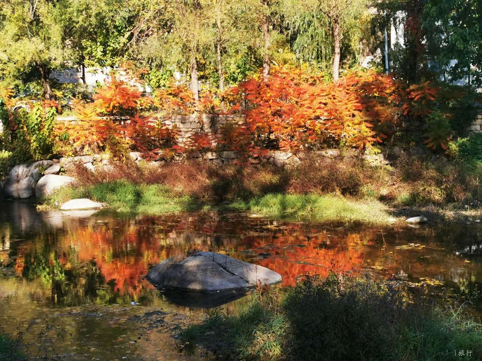 3r3esvLx6Vhv7OsoTRjJrPsWwVn_hLFNZK52Fg-wjKKgT4B7TyT1LRH10RQlHPKe