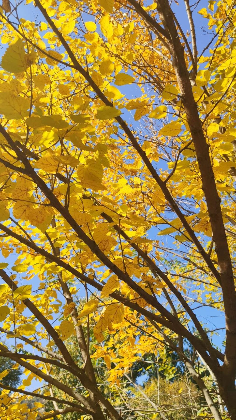 t0PzKzHAfbuVUMmJcfEuz4kl1TbHRbqKOMlc6zVRoGqtWL8gv72hlrrCs_htQ6Lp