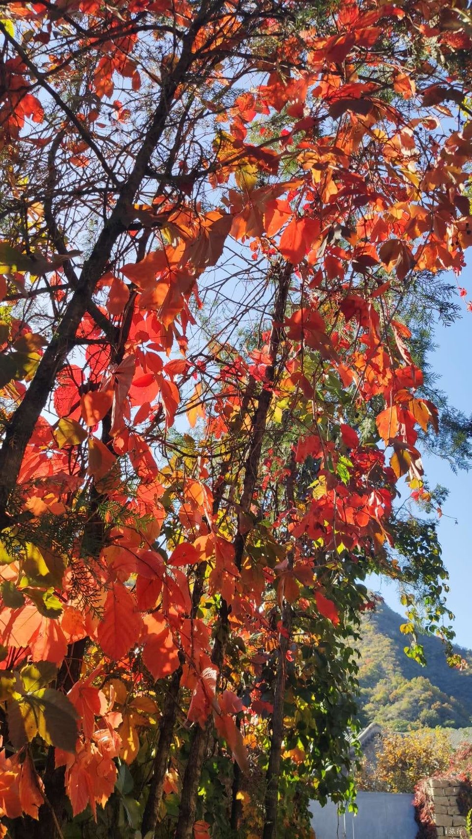 gK5XdxtIssPy51m3mDkiLgWmA6fFLp3sFwPbzAVV2H8-7_RZCn7MoMk2DeX-NKdn