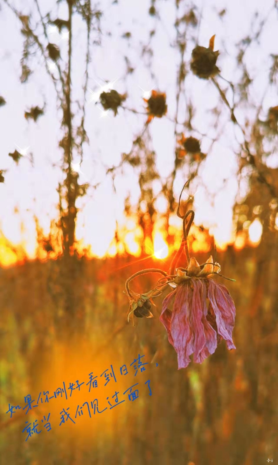 0O_e7PA5rBbpmVJgIC8EzFqtz9ICEMvtGyGkDp80GJYcNgT0UIln4lAifsWTqQPF