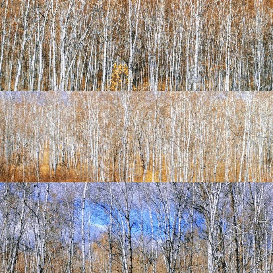 0O_e7PA5rBbpmVJgIC8EzNFDThryzByC6ZshjRcVpwZluTfP_ppHzRmiWHEgzk9e