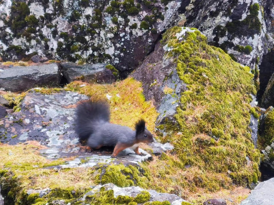 0O_e7PA5rBbpmVJgIC8EzOzCM6pRpUMF51zd4oEs-dEPqTjPFz0FXyRrc4XccuQm