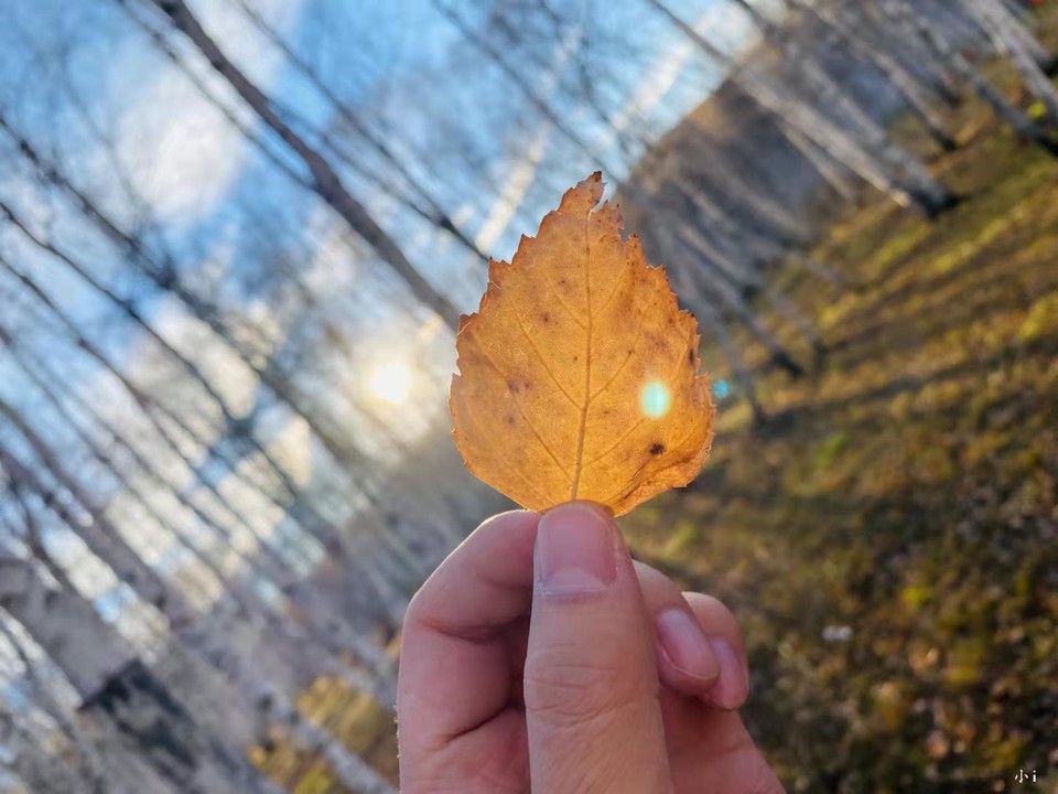 0O_e7PA5rBbpmVJgIC8EzAbU64hS44nAoowzot8gVI0OfBOypPuhn2FKhLBim6rp