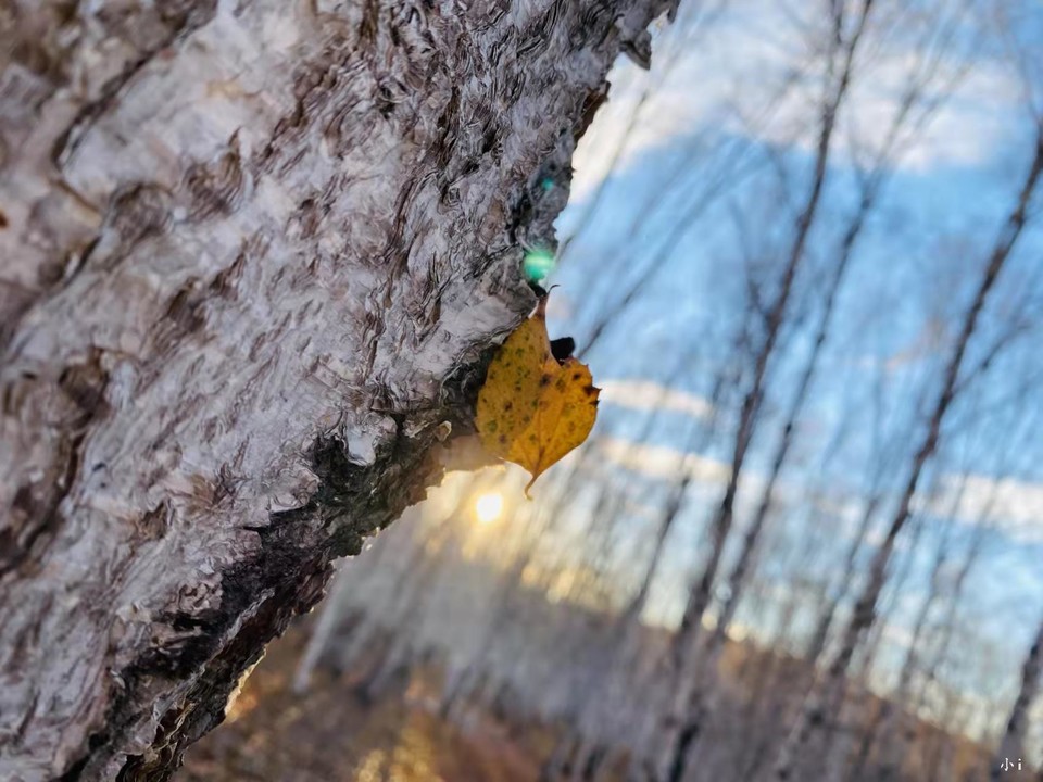 0O_e7PA5rBbpmVJgIC8EzFMZKbG7gvfpTGtU62PSLJ7mqV00Mk6ooffIAYQzqjmZ