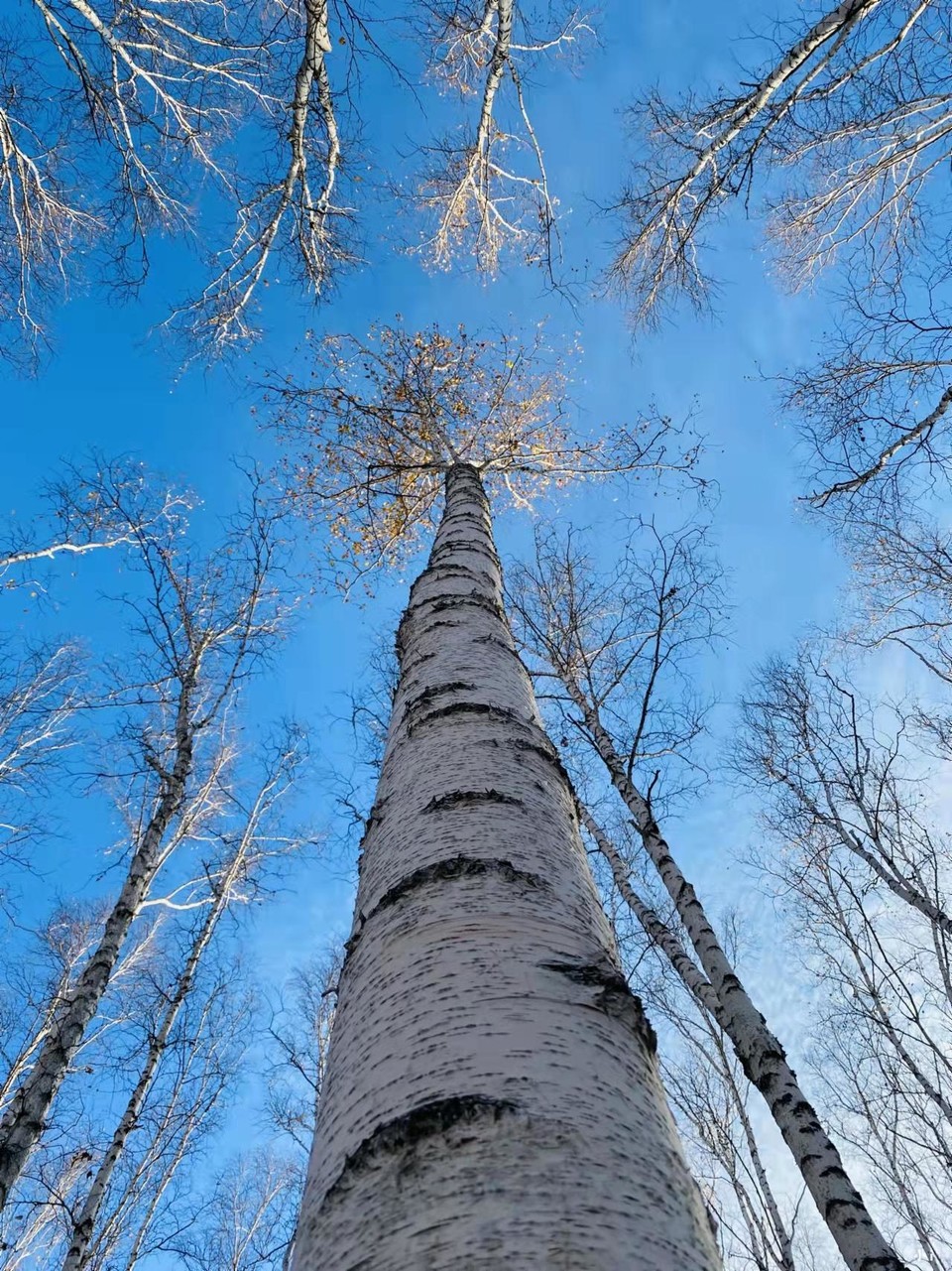 0O_e7PA5rBbpmVJgIC8EzAS6l4HptOnMv04-36_QucOe4nivFjU66sHrCeII-ODm