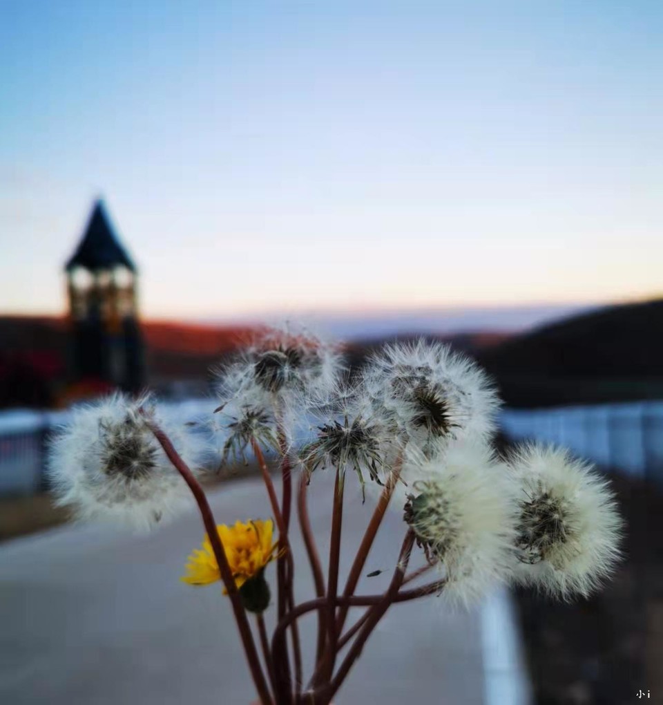 0O_e7PA5rBbpmVJgIC8EzEUnJycbXYsqboyXDvZEJuvXFiccRgbuKX2V_vMukxIv