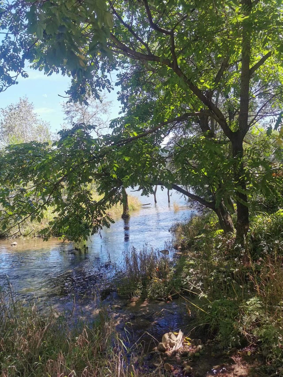 tmCOcw7wm4VBaVlWua_eI_3EJisWkui3_plFdka8oJplKFHWb8PraimYYHvw4ROJ