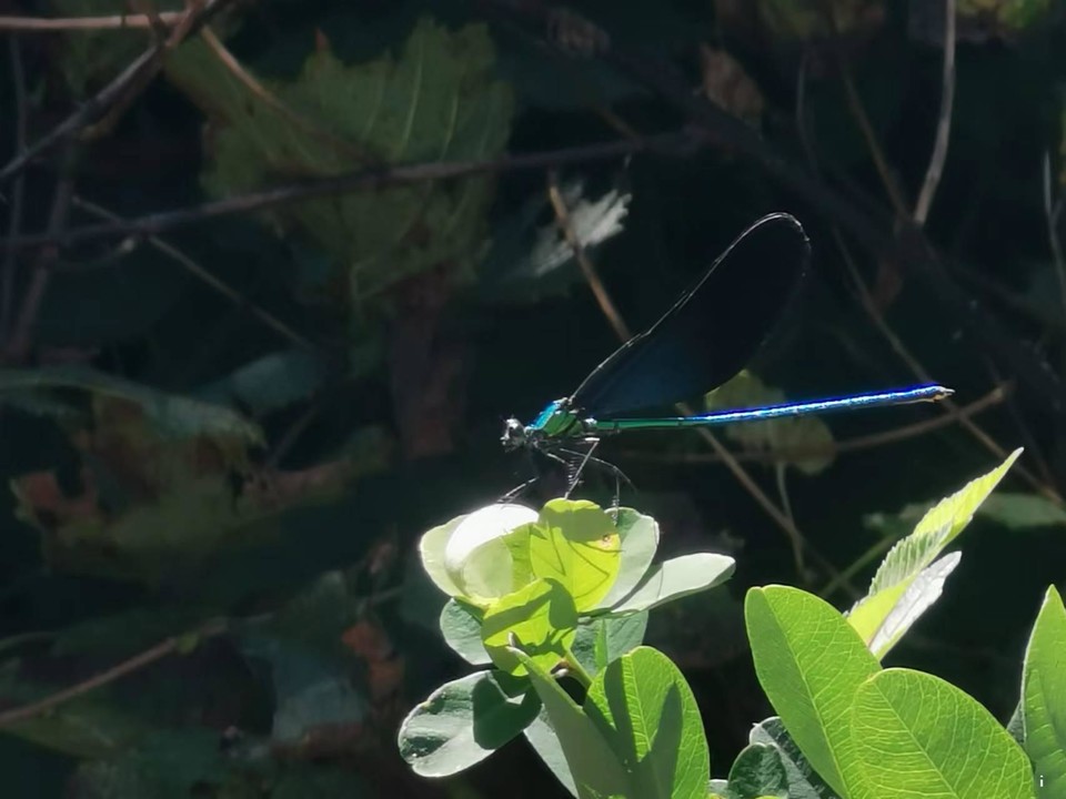 tmCOcw7wm4VBaVlWua_eI8UuEmHfeZRlHzoL94vjq3y55wvQwtUyJnKaSi3EMTdr