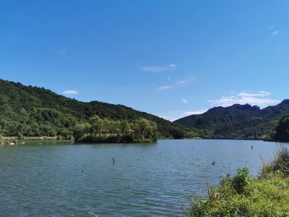 tmCOcw7wm4VBaVlWua_eI9uz6uM7v59QS84mMxBvLSSMSjsKNWZd_mjCI-miQARK