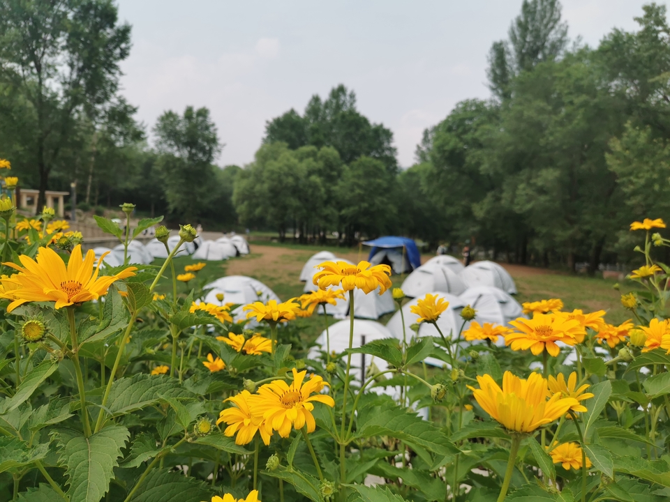 SNQ2G0Zs2j8l1oWZysuR4V3mkWVK0pERUziO0BVBFlICI6o2_fILUbKOX8jrAFrz