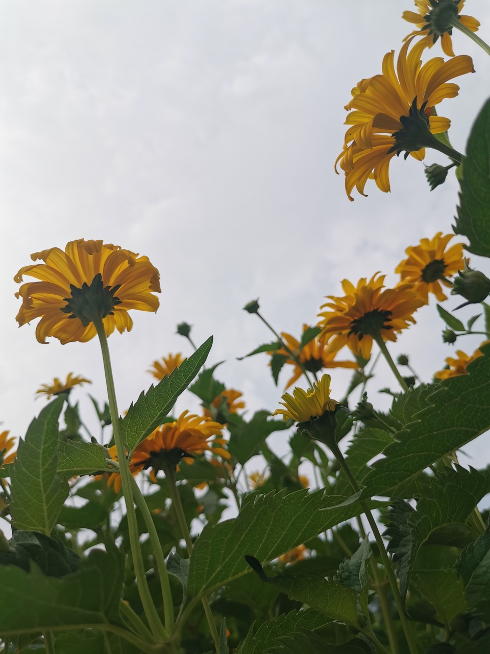 2ABA7U2X5rQUHHcNid7GDifiKJyDyFGborAf66QRZup0s39bOR1uTsj9n6rhqf3v