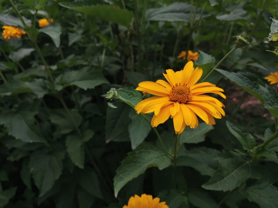 80nKQGRAeVKaBSOtxazd0m4u-QziO8OORtMhRm_myEcJREH-pzBRu_SRCxNXA0iA