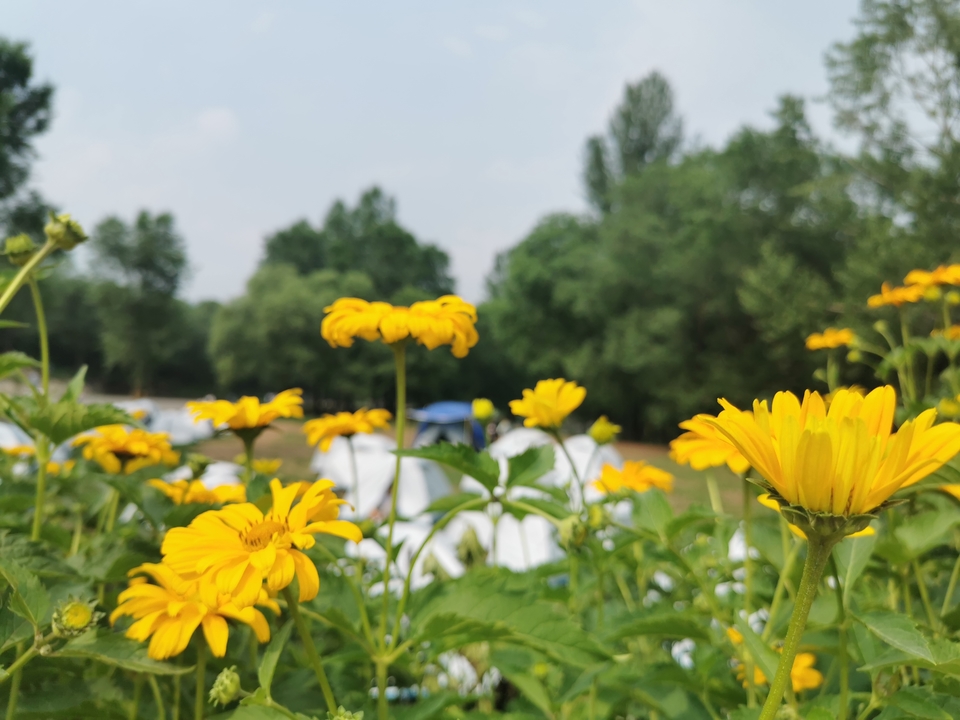 GPiU68Fwd2BtMbiA9UApuPqZmUWV0iWOEyoUJMiu5iC5prmne4MkHbsBU_M24ytx