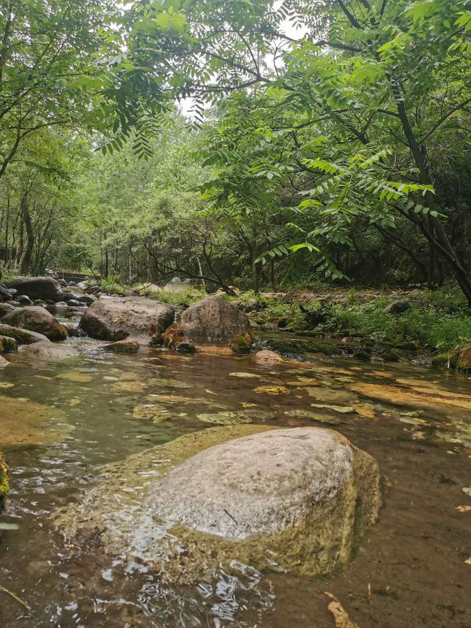 JuE6B1xX1T8AaN3NIDPsiIs69jJqvApVClU59NCVXJ4b8C4Kf-DLj8coTQJ6VOwt