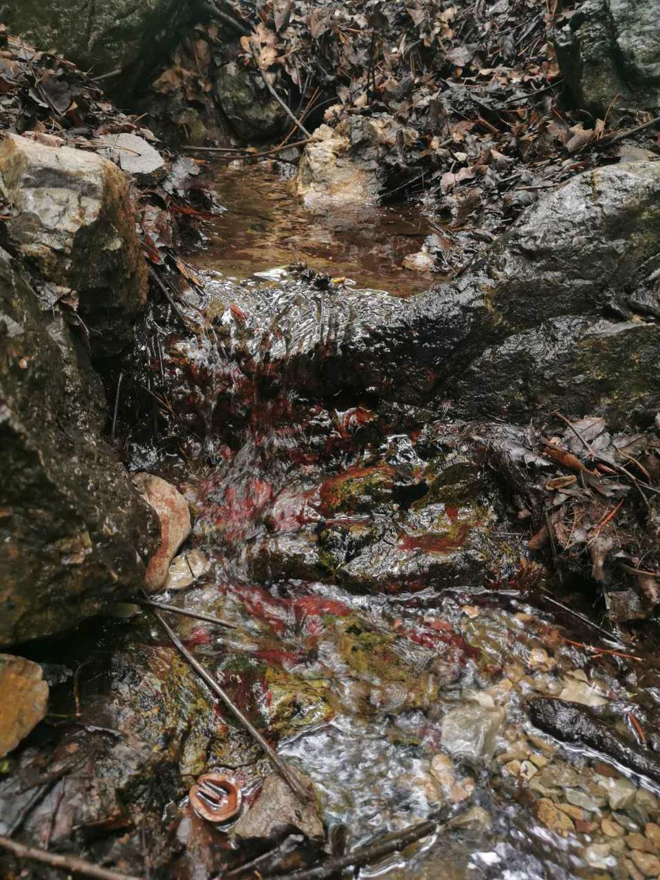 EF4X5F9DNoqHC9KJFhegAn4UwkaeSQZrGdAgvvbJchuuvvk-po7Do1Frz5Al1ZmG