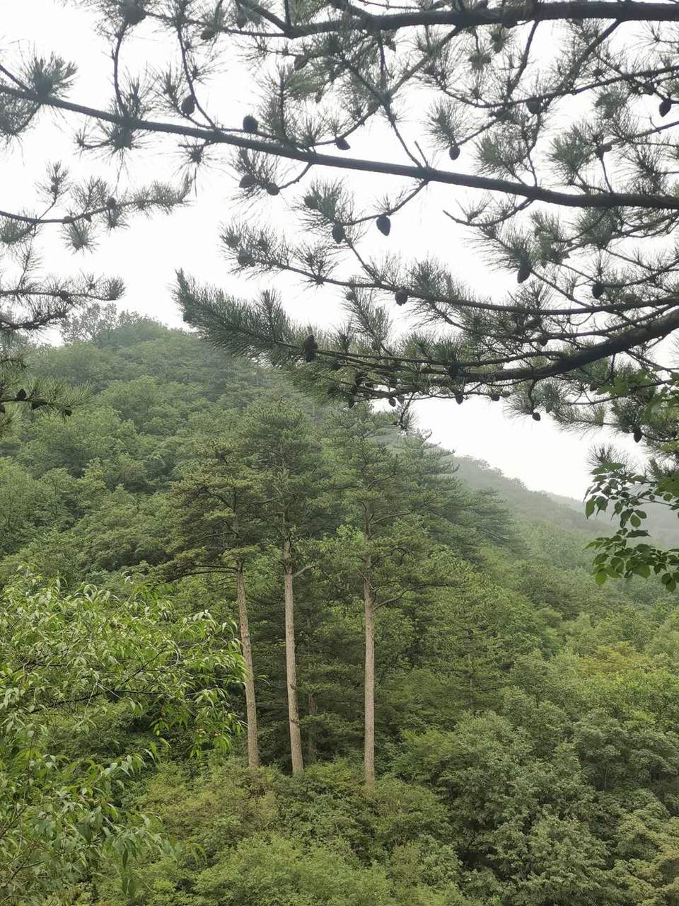 eWhoINztwZf779Gl40vFRj9lLO5do3gZNuPjEVZ9Hf2hq64F8EbEW_wAtvNNwDJm