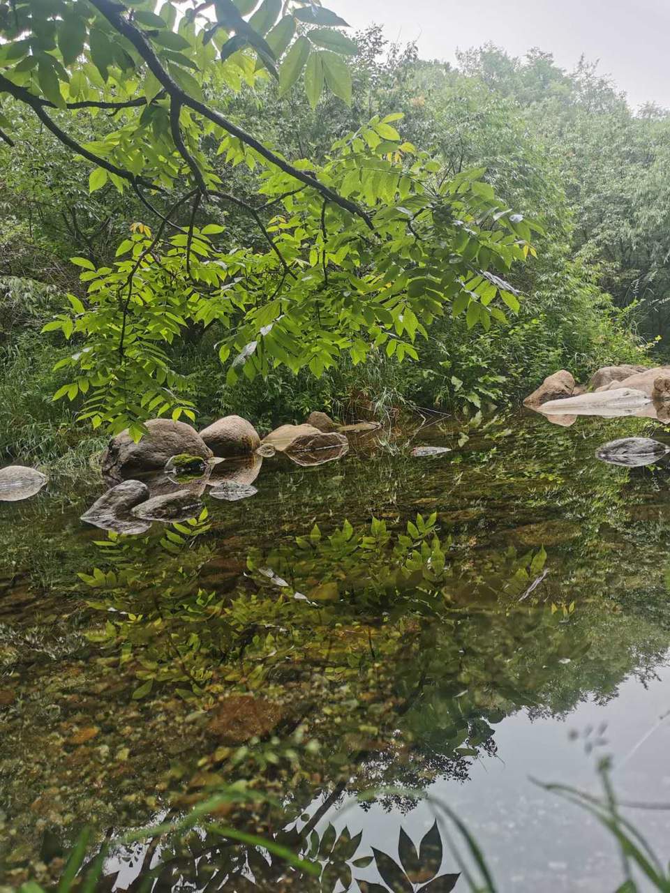 52XjrENyoDPh-Xdbh_y0IKaL-kCJmOLjpLGeWFZpm85u4IWt9KhaZUlDf8aFXs2t