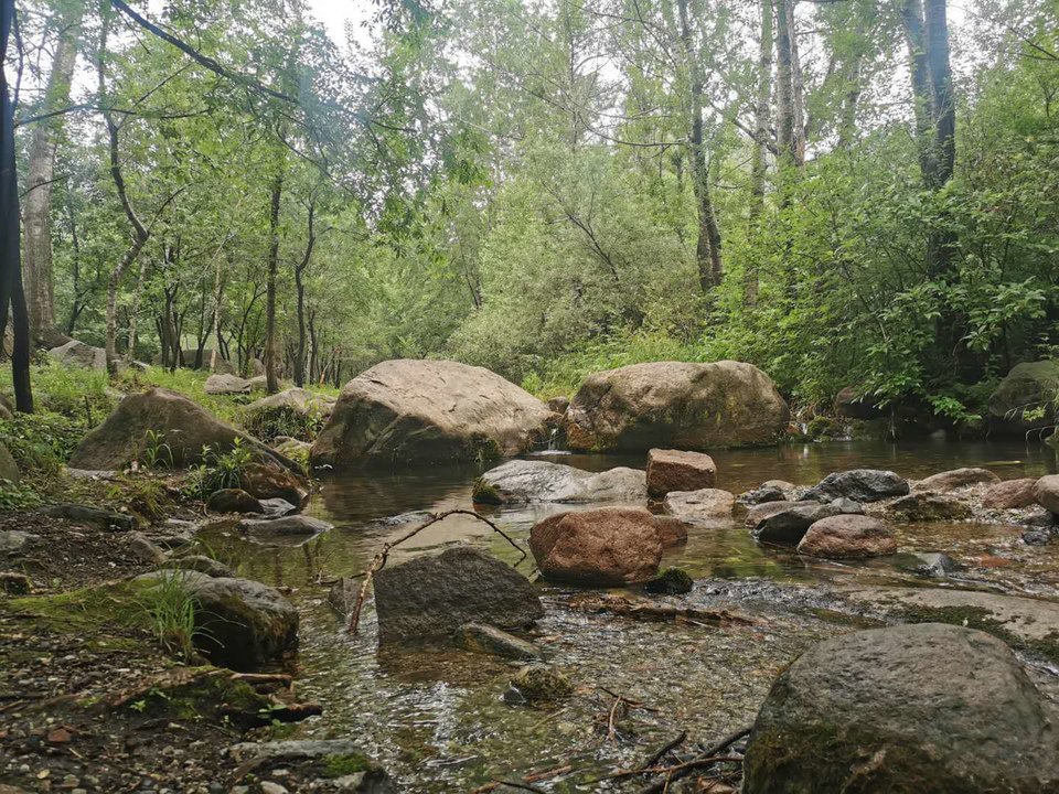 yvNeEfKvBiWH_AucpzvJf65D-B3E5KLeOl-BU8EhvdgO-QSFuDriz4FDqdztHB0i