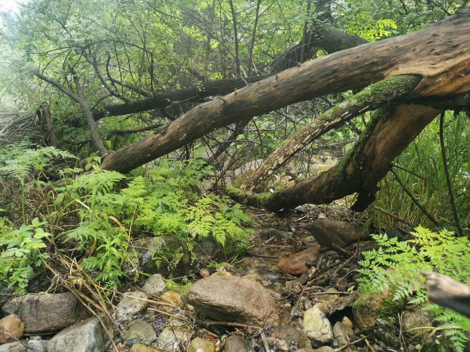 vW4HtjwSF5sIET_VmwBO9pwgizXyi8eKe1wN2-rt9SiTO03rvCqVSoUYVoa6TiXf