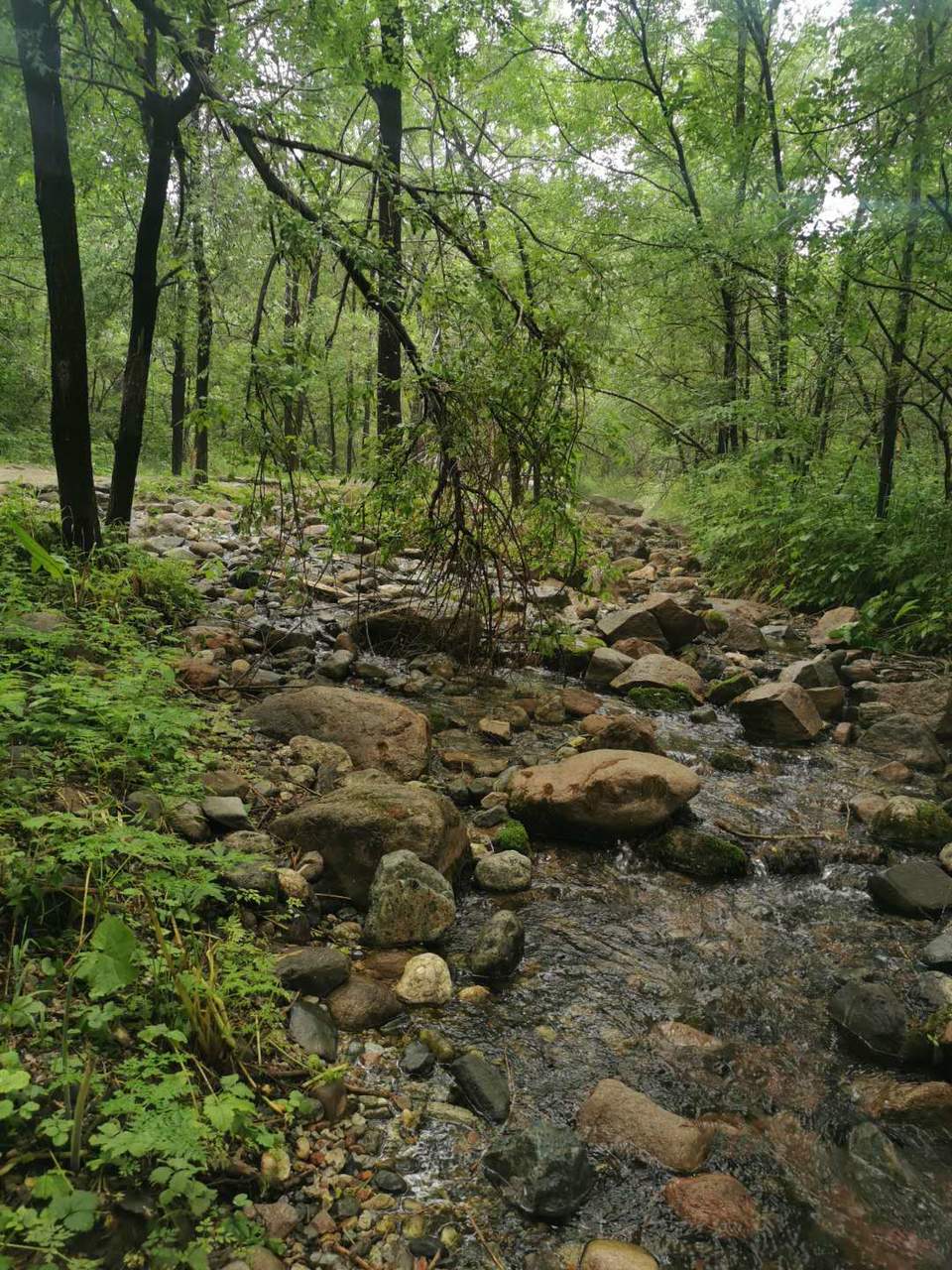 eghJ23Jsruq3GeOeGgottmKm6bRfvbPGVPWq_hShQcURJk8QfO1Gg5NboeblkKt1