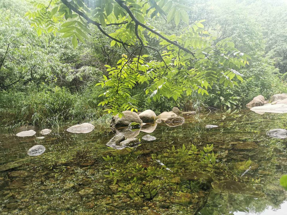 MxnId5jnI3O_fTGIZv8uIFOaahhwcVV0gJTQu5us_euzIGrKrltfm6UzYTp6sYRb