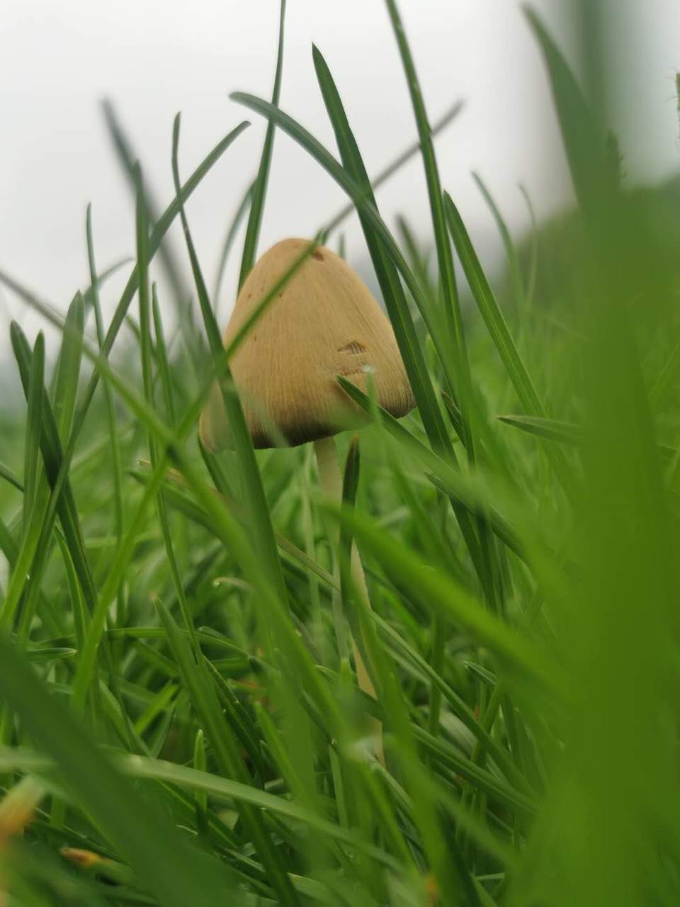 DB2cuUROyzGazhpEVgxxY5CAnIjSgjYGhRwwwNKSGiuLUW8HH4Yy_HzRoriEhDkr