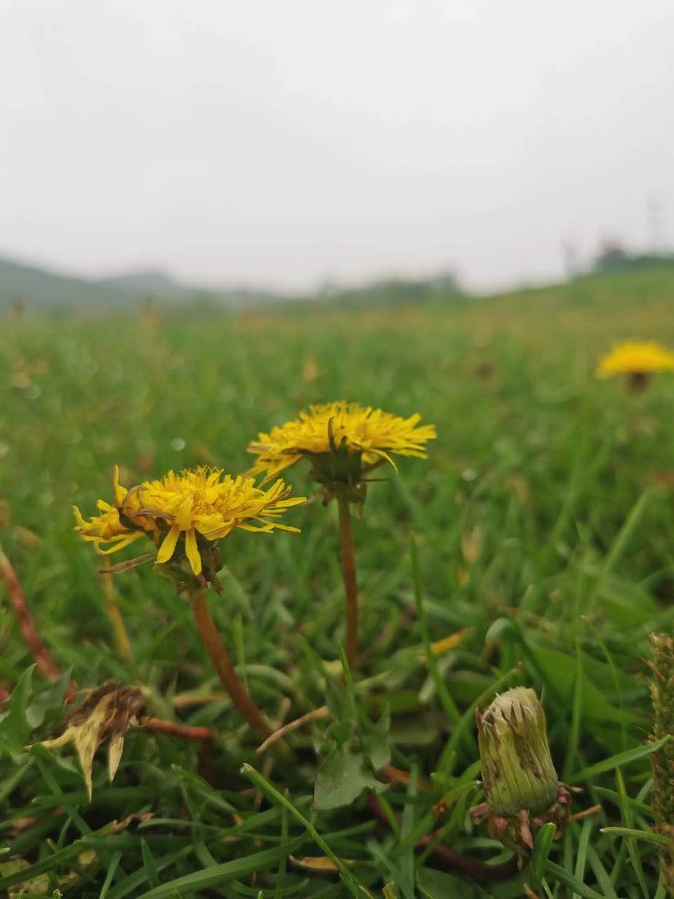 AjSwoXn84Gil_x6Hneb5CuD4uAn5gVccZtuwxopmgZ5uXV-hwGsaLDft4b6N8If4