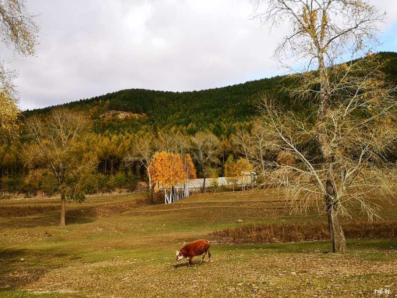 mmexport1601625756380