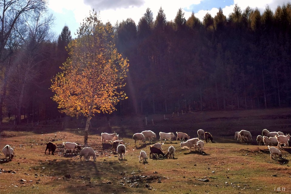 mmexport1601633865884