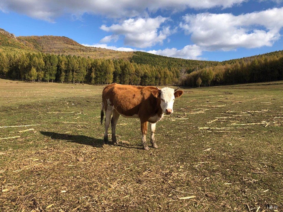 mmexport1601634369388