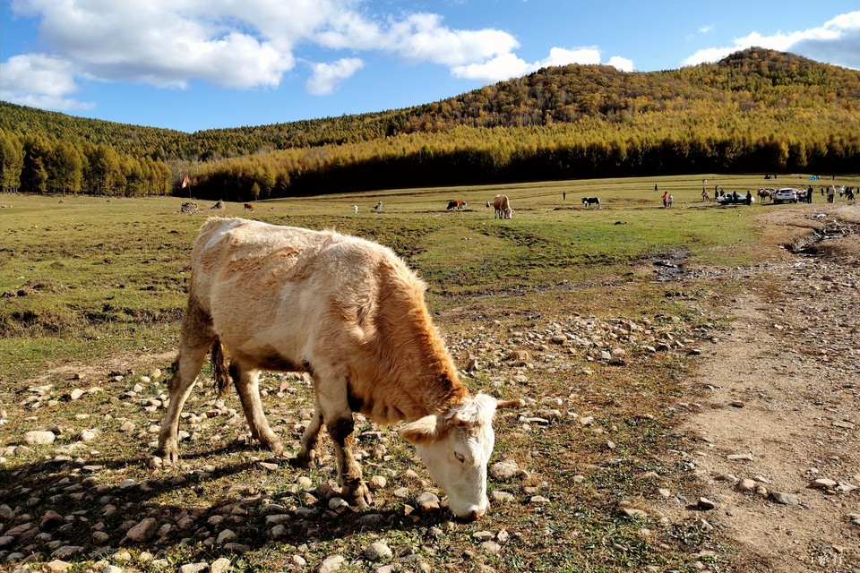 mmexport1601634367649