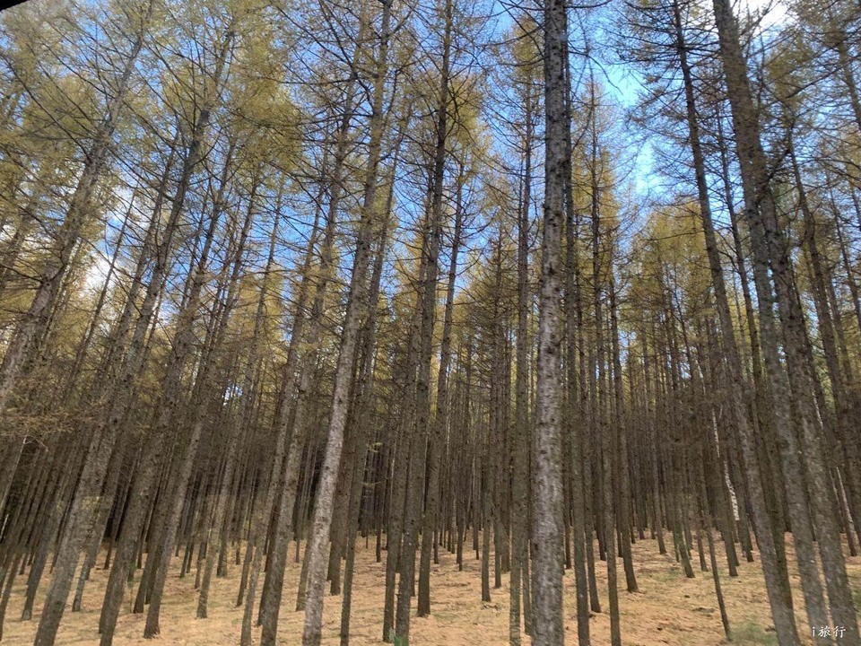 mmexport1601634480829