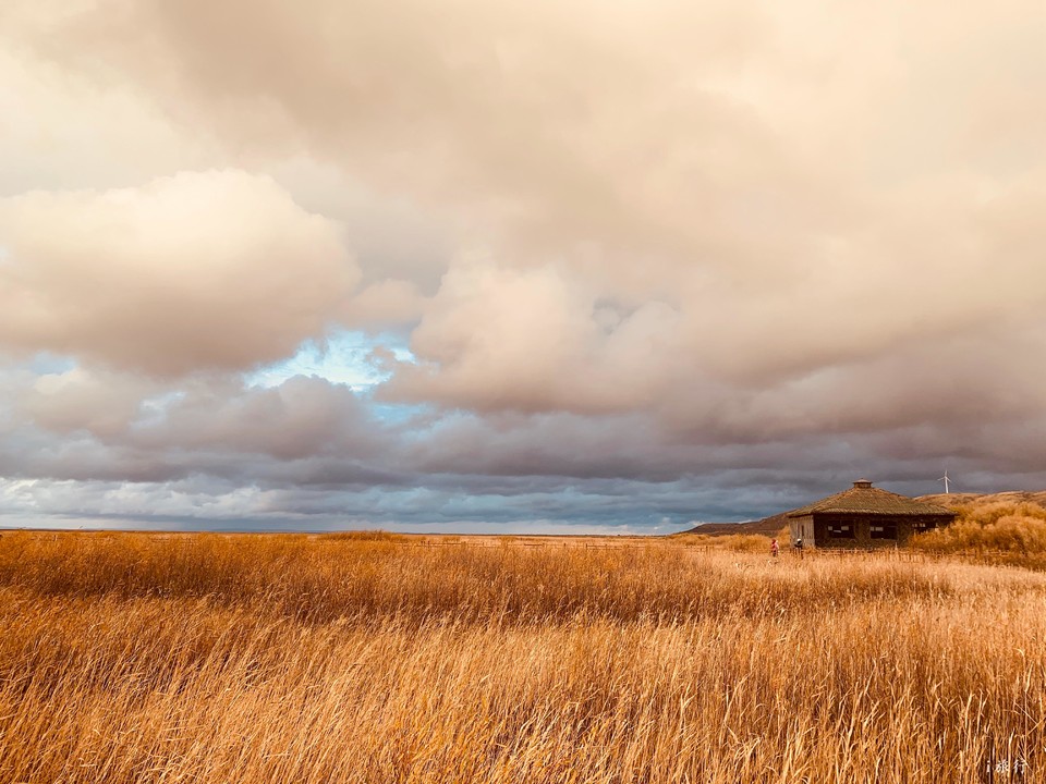 mmexport1601733132124