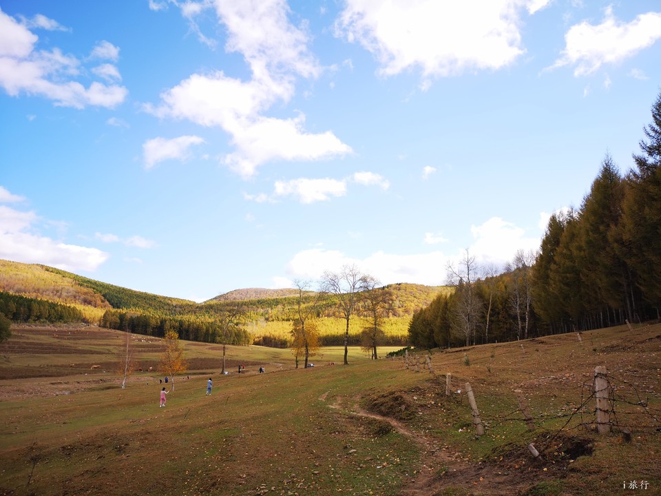 mmexport1601634411182