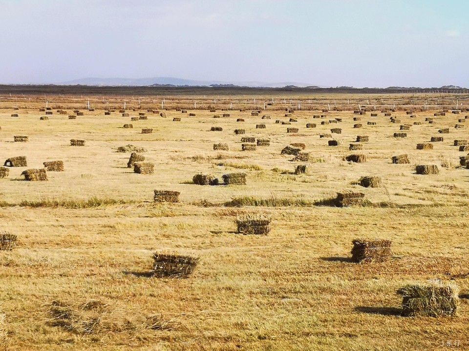 mmexport1601733147932