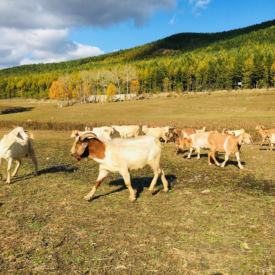 mmexport1601634392854