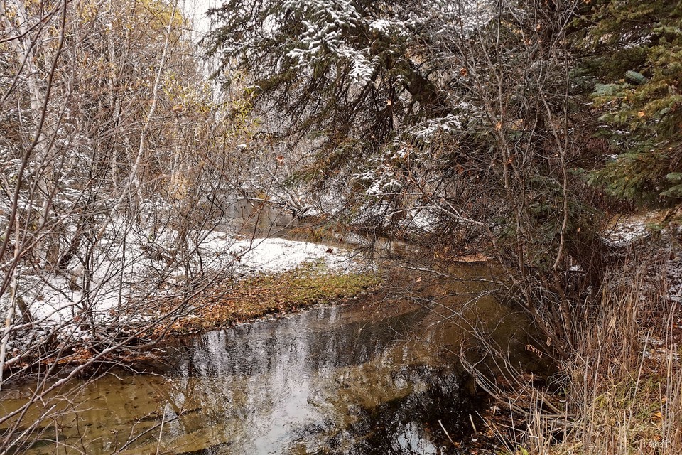 mmexport1601782476716