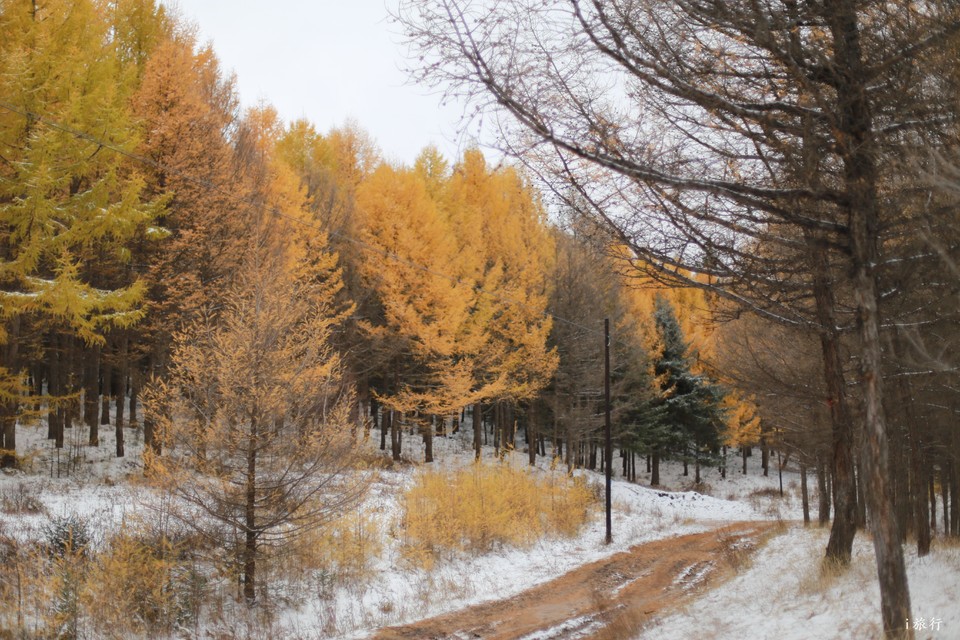 mmexport1601856526794