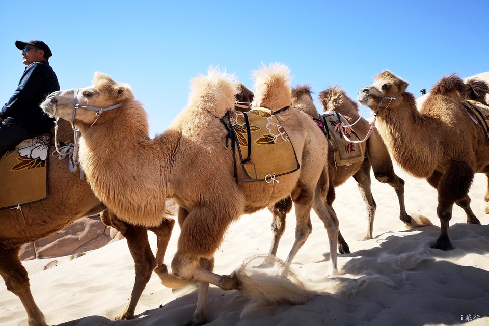 mmexport1602073443048