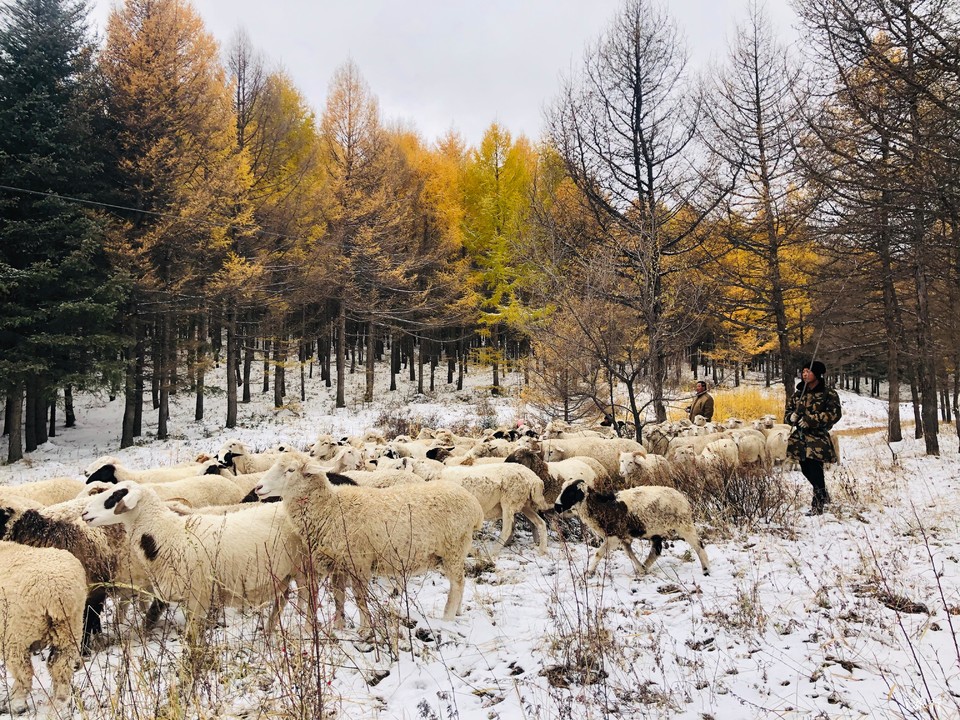 mmexport1601856499393