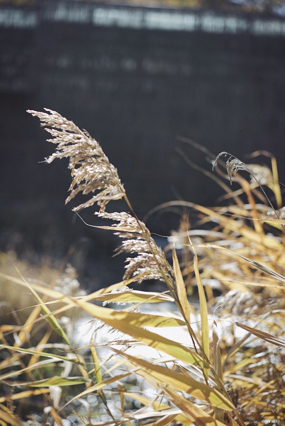 mmexport1603549474527