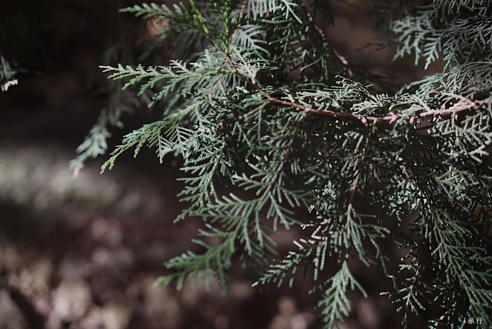 mmexport1603549476977