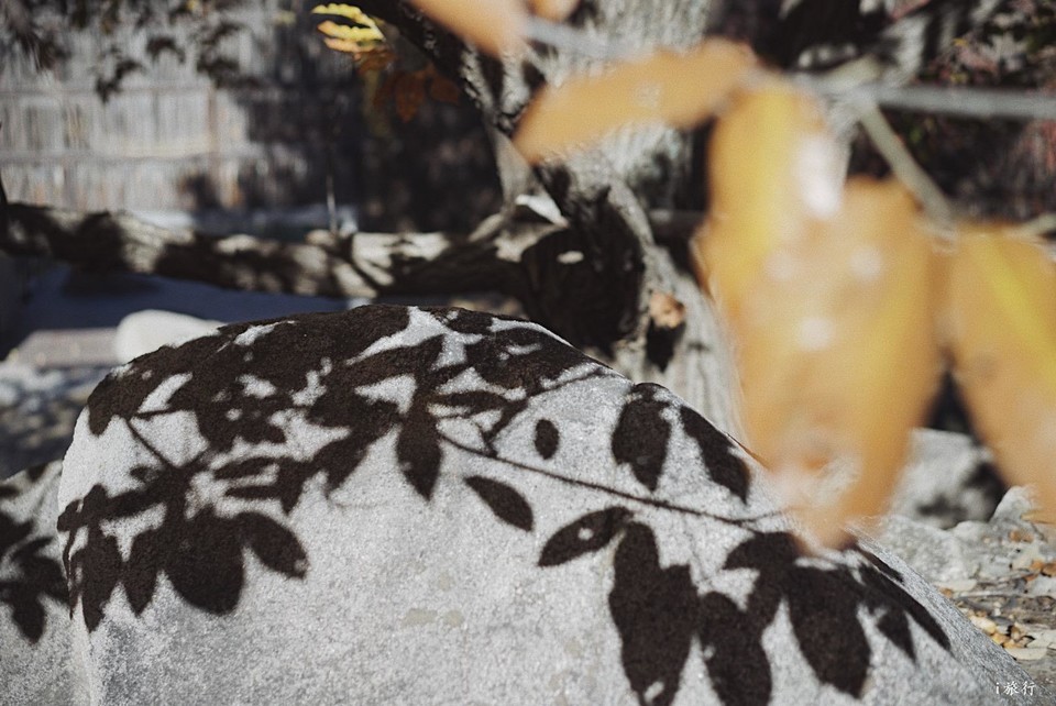 mmexport1603549484802