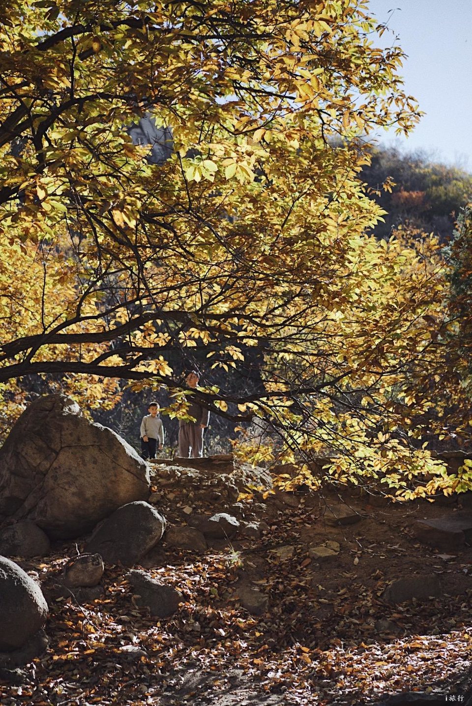 mmexport1603549482074